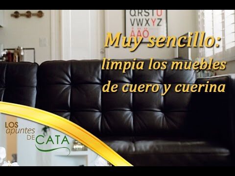 Consejos Efectivos para Limpiar Muebles de Polipiel